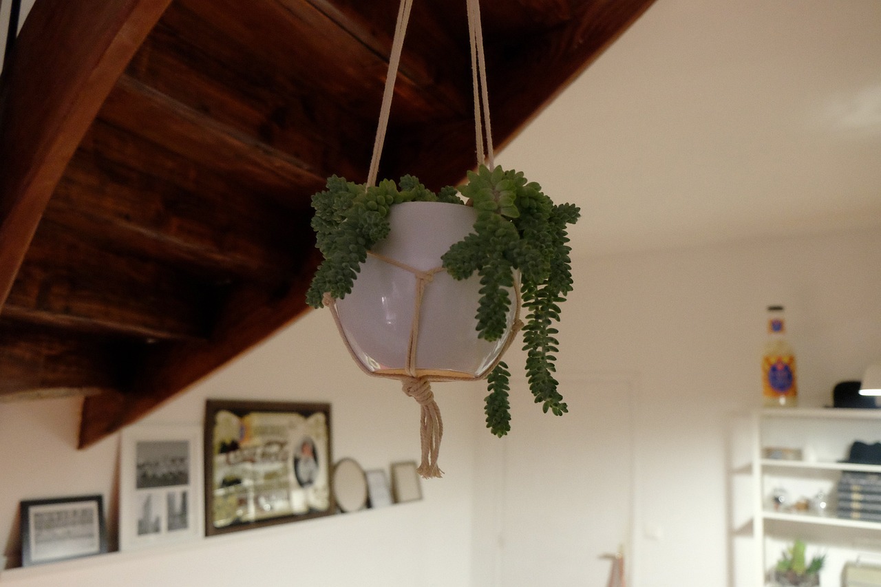 Implementing DIY Nature-Inspired Decor in Your Home